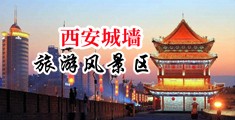 男的鸡巴插女的屁股黄片软件平台中国陕西-西安城墙旅游风景区